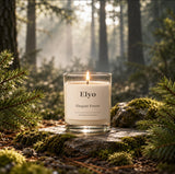 Elegant Forest